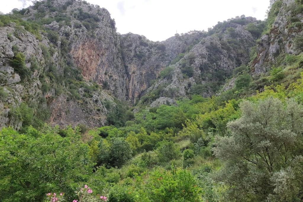 Nature Bay Apartment Kotor Buitenkant foto
